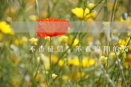 不查征信 不看逾期的贷款